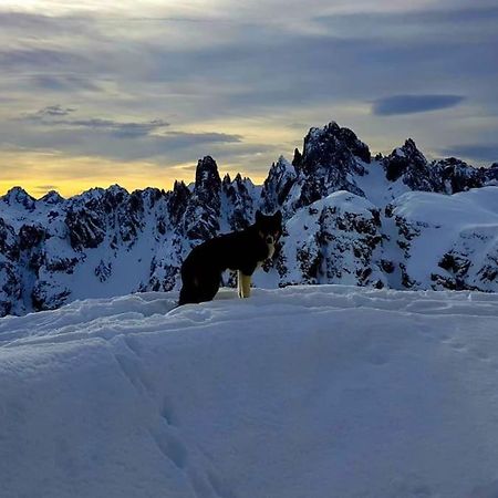 Appartamento Daniela Dolomiti. アウロンツォ・ディ・カドーレ エクステリア 写真