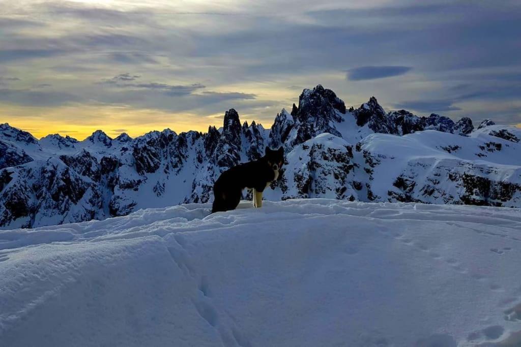 Appartamento Daniela Dolomiti. アウロンツォ・ディ・カドーレ エクステリア 写真